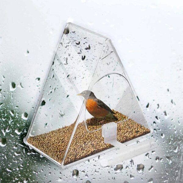Mangeoire Triangulaire Transparente pour Oiseaux – Récipient Étanche
