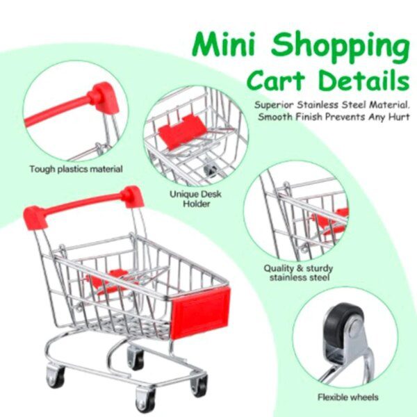 Kit 6 Jouets d’Intelligence & Formation pour Perroquets – Basket, Anneaux