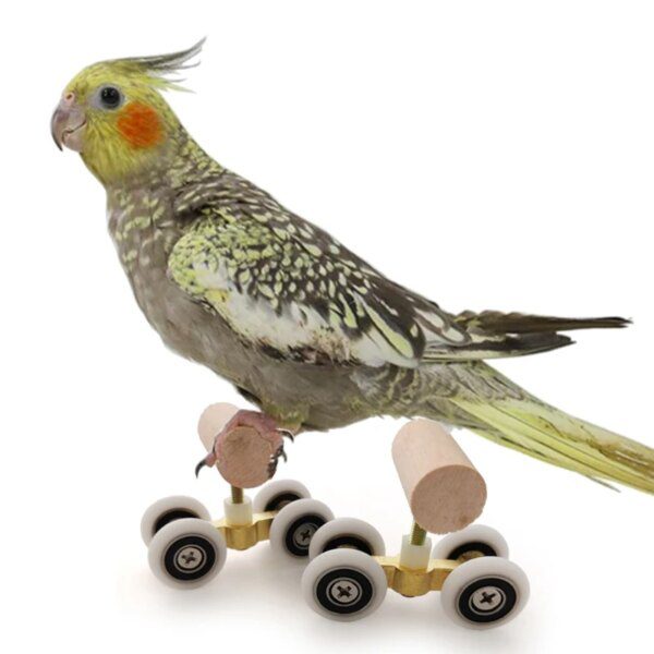 Kit 6 Jouets d’Intelligence & Formation pour Perroquets – Basket, Anneaux