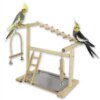 Playstand & Aire de Jeux en Bois pour Perroquets – Perche Stand d’Exercice
