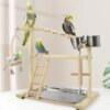 Playstand & Aire de Jeux en Bois pour Perroquets – Perche Stand d’Exercice