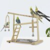 Playstand & Aire de Jeux en Bois pour Perroquets – Perche Stand d’Exercice