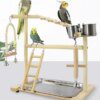 Playstand & Aire de Jeux en Bois pour Perroquets – Perche Stand d’Exercice