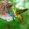 Mangeoire Automatique Sans Gâchis pour Oiseaux – Distributeur Acrylique