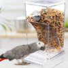 Mangeoire Automatique Sans Gâchis pour Oiseaux – Distributeur Acrylique