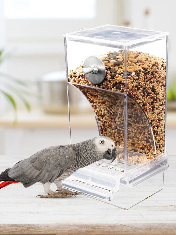 Mangeoire Automatique Sans Gâchis pour Oiseaux – Distributeur Acrylique