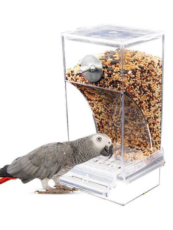 Mangeoire Automatique Sans Gâchis pour Oiseaux – Distributeur Acrylique