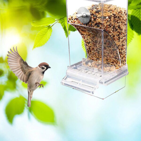 Mangeoire Automatique Sans Gâchis pour Oiseaux – Distributeur Acrylique