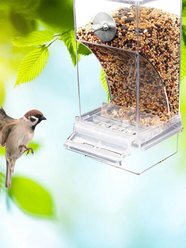 Mangeoire Automatique Sans Gâchis pour Oiseaux – Distributeur Acrylique