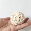 Boules Sola Naturelles à Mâcher & Recherche de Nourriture – Jouet Doux