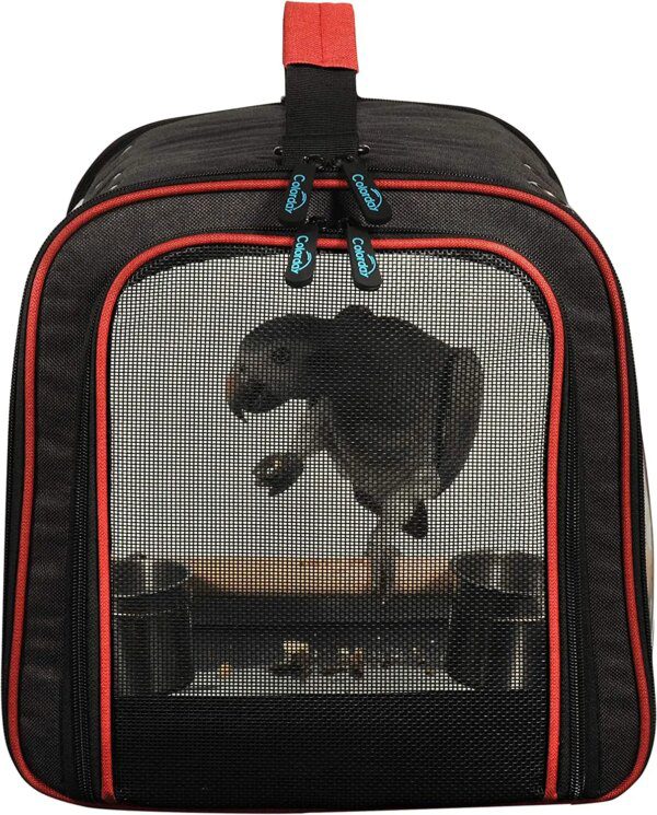 sac de transport perroquet léger, Cage de voyage pour oiseaux avec support