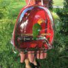 70340-9aa0d9.jpg Sac de transport perroquet capsule bulle – Sac à dos randonnée avec perchoir