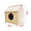 Perchoir Station en Bois pour Perroquet – Stand Stable