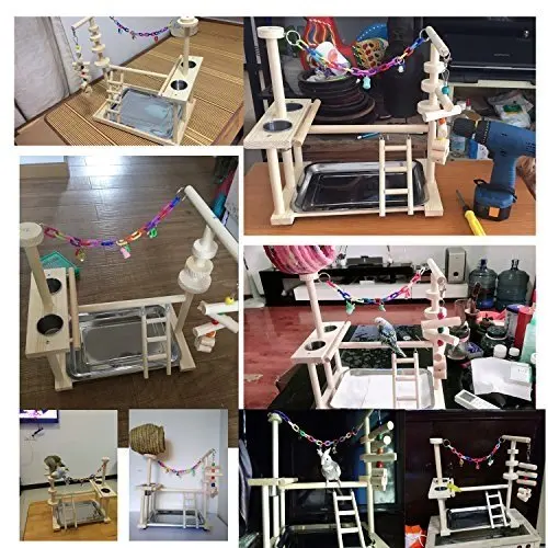 Support de Jeu en Bois pour Perroquet & Perruche – Centre d’Activités