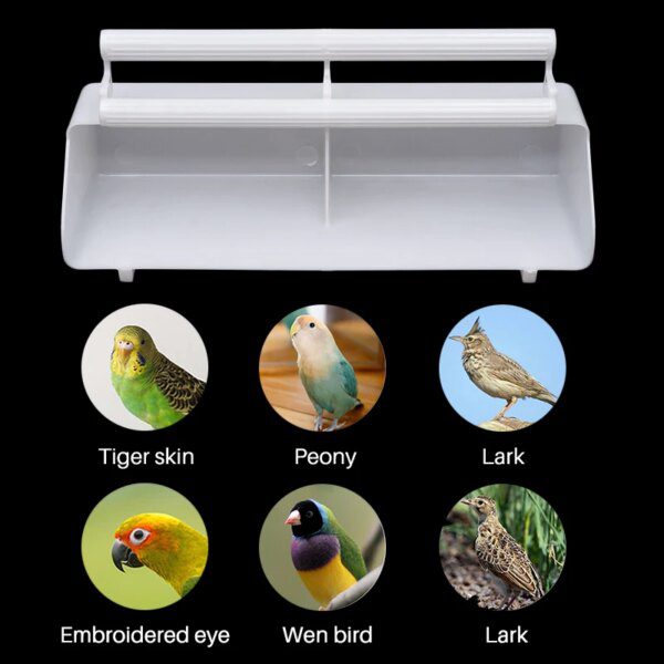 Mangeoire 2-en-1 pour Oiseaux – Bol d’Eau & Nourriture avec Double