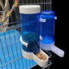 Abreuvoir automatique oiseaux de compagnie, mangeoire bleue
