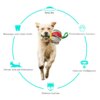Balle Multifonctionnelle Indestructible 14 cm pour Chien – Lancer, Traction, Massage