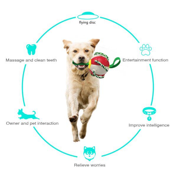 Balle Multifonctionnelle Indestructible 14 cm pour Chien – Lancer, Traction, Massage