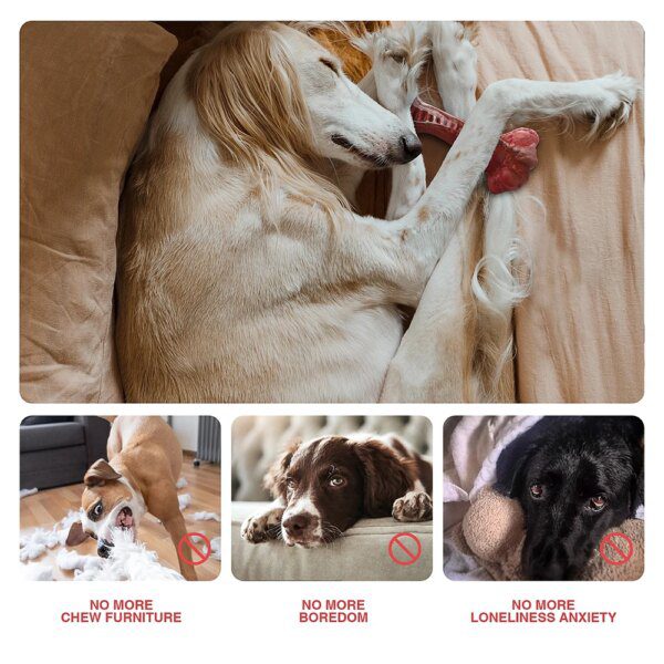 Os Interactif en Nylon pour Chien – Mastication Agressive