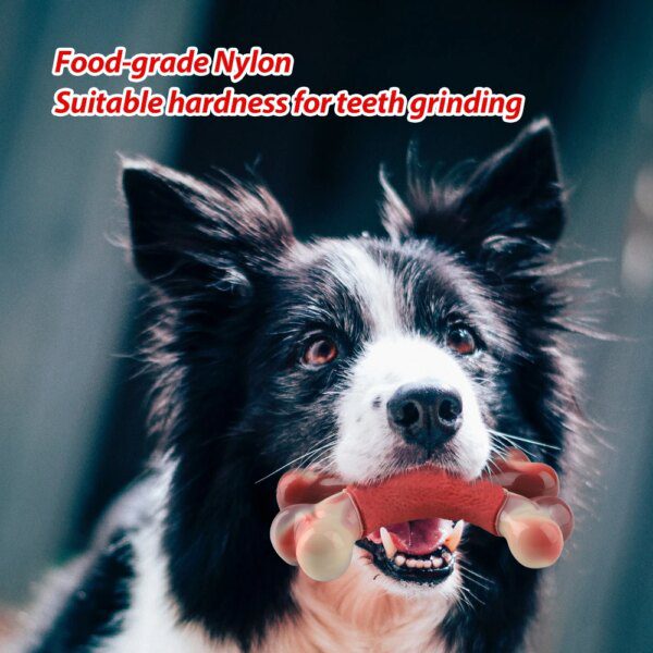 71218-a019f3.jpg Os à Mâcher Durable en Caoutchouc pour Chien – Double Os, Dentition
