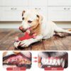 71218-cfcc33.jpg Os à Mâcher Durable en Caoutchouc pour Chien – Double Os, Dentition