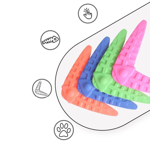 Boomerang Interactif pour Chien – Lancer, Mâcher & Entraînement