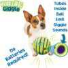 71401-60f7b8.jpg Boule Interactive Sonore Roulante pour Chien – 3 Tailles