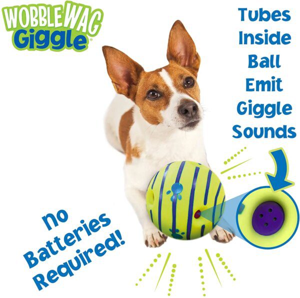 71401-60f7b8.jpg Boule Interactive Sonore Roulante pour Chien – 3 Tailles