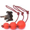 Balle de Traction Indestructible pour Chien – Entraînement, Mastication