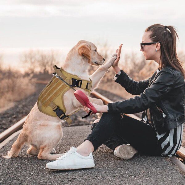 Harnais Chien Tactique Militaire de Luxe – Contrôle, Stabilité & Entraînement