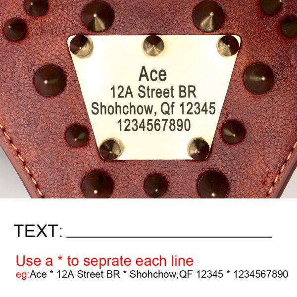 Harnais Chien en Cuir Personnalisé à Pointes – Identification & Contrôle