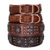 Collier en Cuir Véritable Renforcé à Rivets – Puissance Maîtrisée, Confort Durable