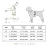 72261-319b99.jpg Harnais Chien Anti-Traction en Nylon & Cuir + Laisse Assortie