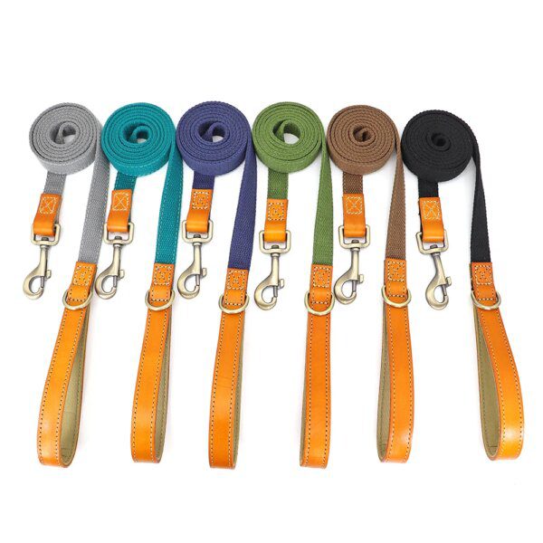 Collier + Laisse Personnalisés pour Chien – Cuir & Nylon Anti-Perte