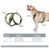 Harnais Chien en Cuir PU Clouté Style Punk pour Chiens Moyens & Grands