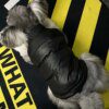 Veste d’hiver en duvet pour chien 🧥 luxe thermique