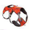 Harnais Chien Sac à Dos Multifonction – Voyage, Camping & Aventure