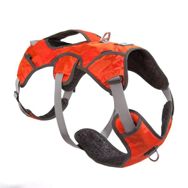Harnais Chien Sac à Dos Multifonction – Voyage, Camping & Aventure