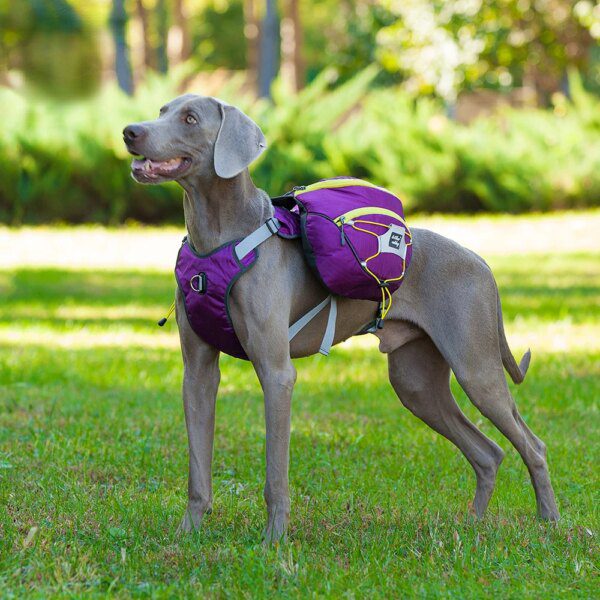 Harnais Chien Sac à Dos Multifonction – Voyage, Camping & Aventure