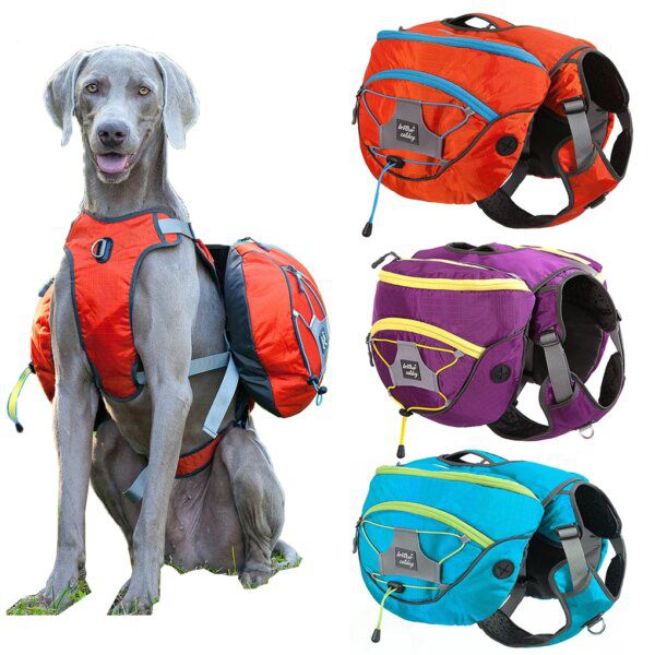 Harnais Chien Sac à Dos Multifonction – Voyage, Camping & Aventure