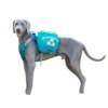 Harnais Chien Sac à Dos Multifonction – Voyage, Camping & Aventure