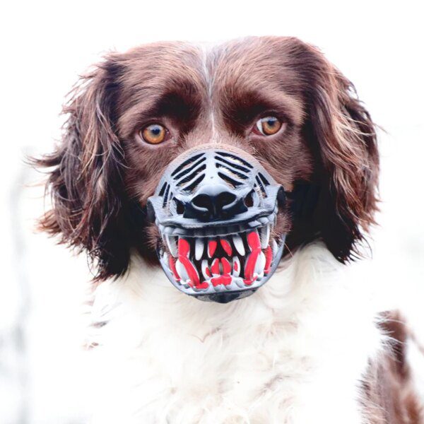 Muselière de formation en forme de panier – Sécurité maîtrisée