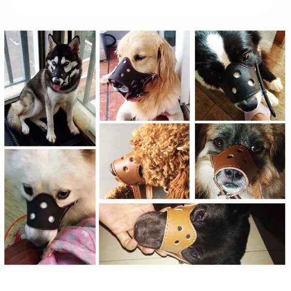 Muselière en cuir souple – La protection qui sécurise