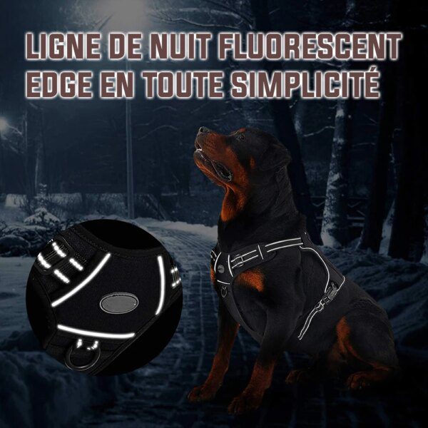 Harnais Chien Tactique K9 Réfléchissant Anti-Traction + Laisse