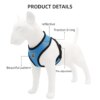 Harnais Chien Respirant Anti-Traction + Laisse d’Entraînement