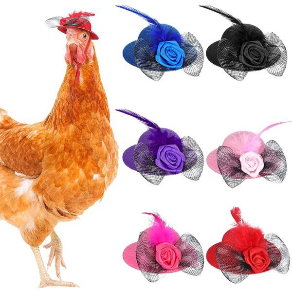Chapeau de poulet pour poules, accessoires amusants pour petits animaux de compagnie