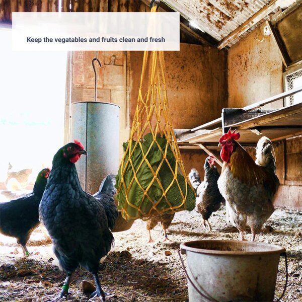 73130-685df1.jpg Filet à légumes pour poulet, sac pour volaille, porte-fruits, mangeoire à chou
