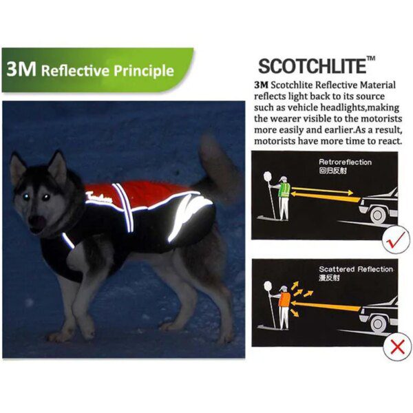 Manteau imperméable réfléchissant pour chien 🌧️✨ protection active