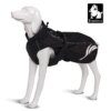 Manteau imperméable réfléchissant pour chien 🌧️✨ protection active