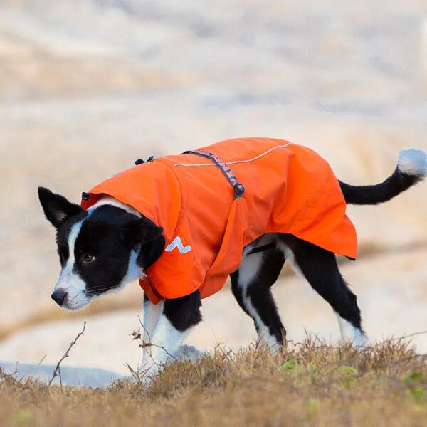 manteau pour chien imperméables, coupe-vent, veste détachable pour chiens
